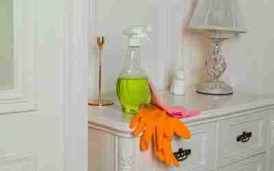 5 Crucial Reasons Why Regular House Cleaning is Important