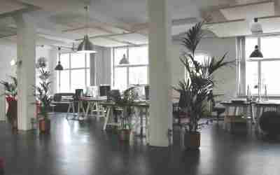 A Smart Guide to Office Deep Cleaning and Disinfection