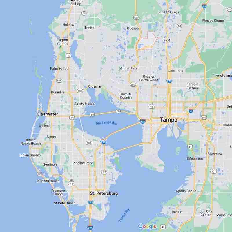Google-Maps-house-cleaning-service-cheval-fl google map shows cheval florida house cleaning service area